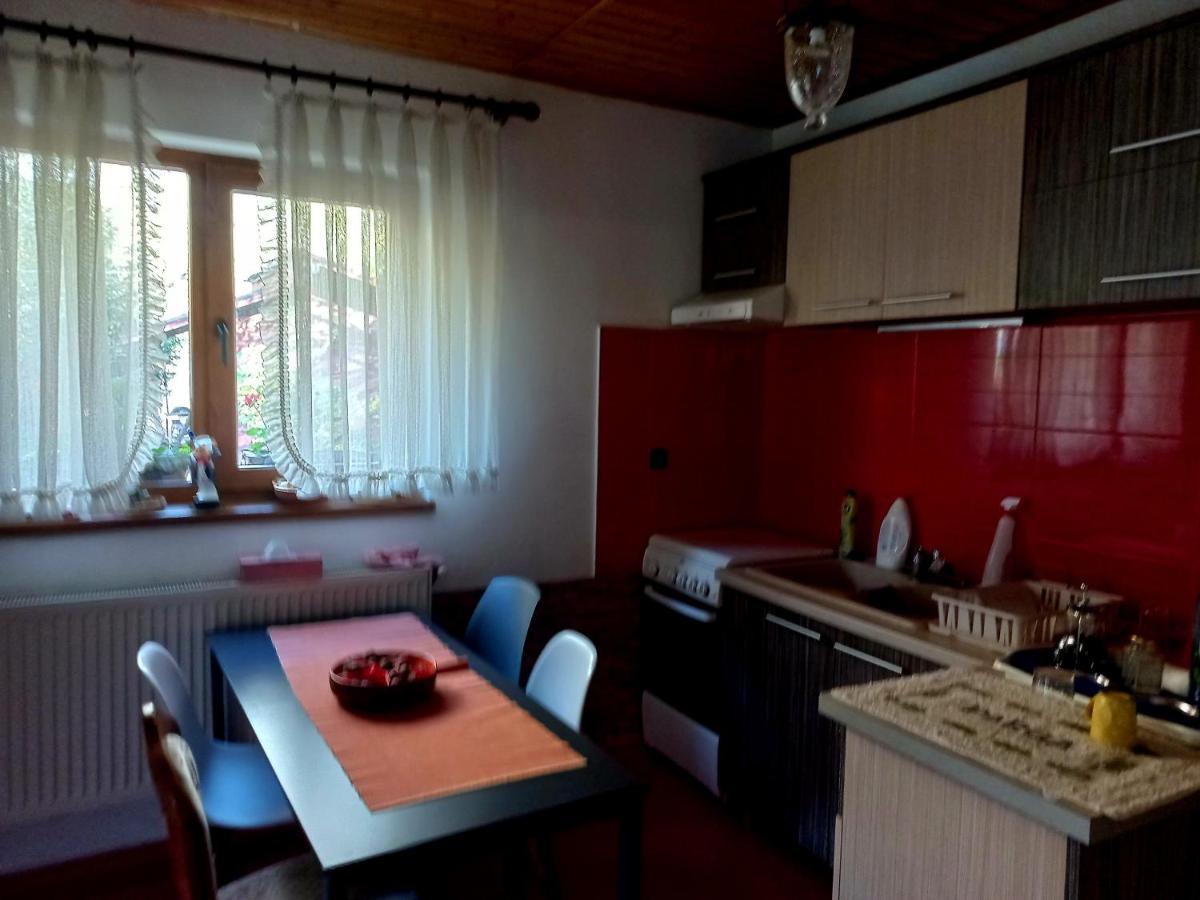 Hotel Casa Artemi à Remeţi Extérieur photo