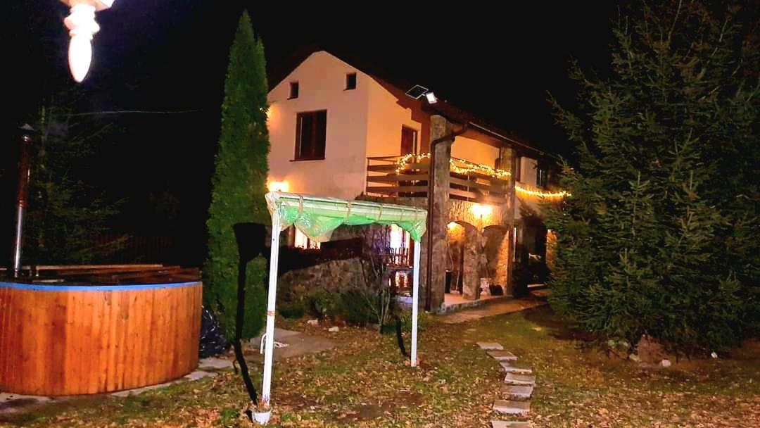 Hotel Casa Artemi à Remeţi Extérieur photo